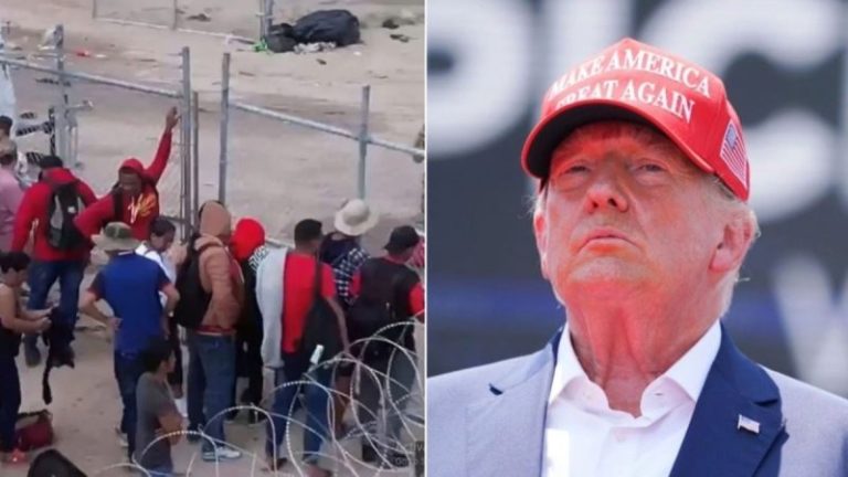 Trump’s tariff threats go beyond ‘trade agreement’ to advance American interests: expert