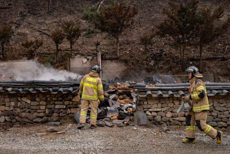 Man caring for ancestors’ grave may have ignited huge South Korea wildfire, police say