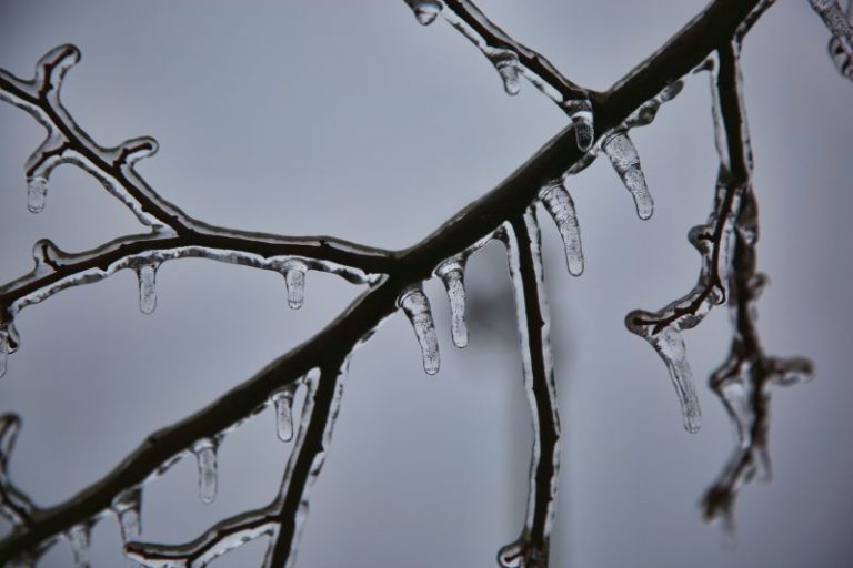 Hundreds of thousands of eastern Canadians face power outages due to ice storm