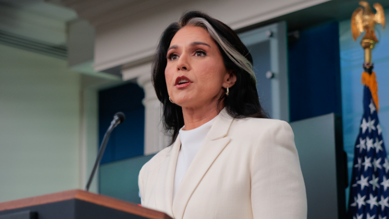 EXCLUSIVE: Gabbard outlines election security assessment, presence at Fulton County search